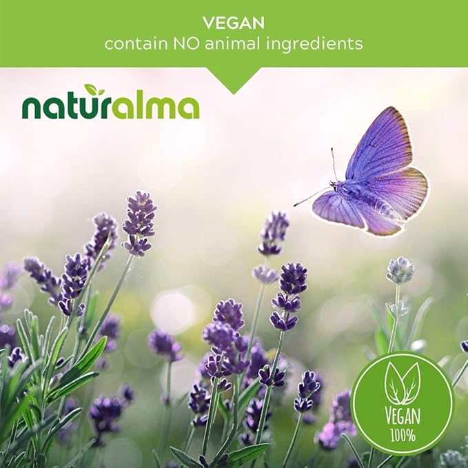Naturalma Lemon Balm (Melissa officinalis) Leaf Alcohol-Free Tincture - 16.9 fl oz Liquid Extract in Drops - Herbal Supplement - Vegan