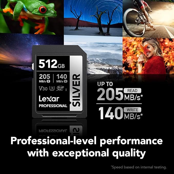Lexar 512GB Professional Silver SD Card,