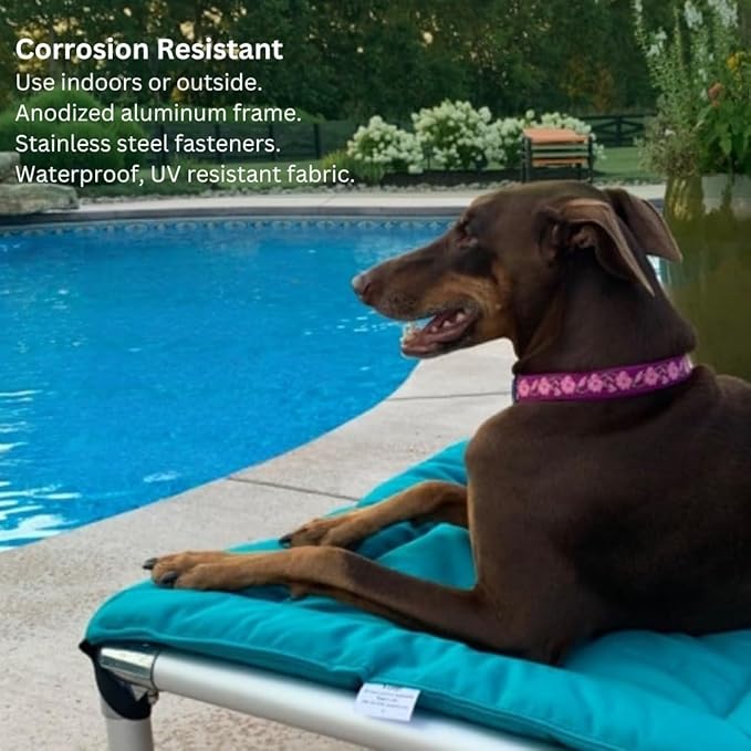 Kuranda Chewproof Elevated Pet Bed - Silver Aluminum - 25" x 18" - Sunsure Textilene - Sierra