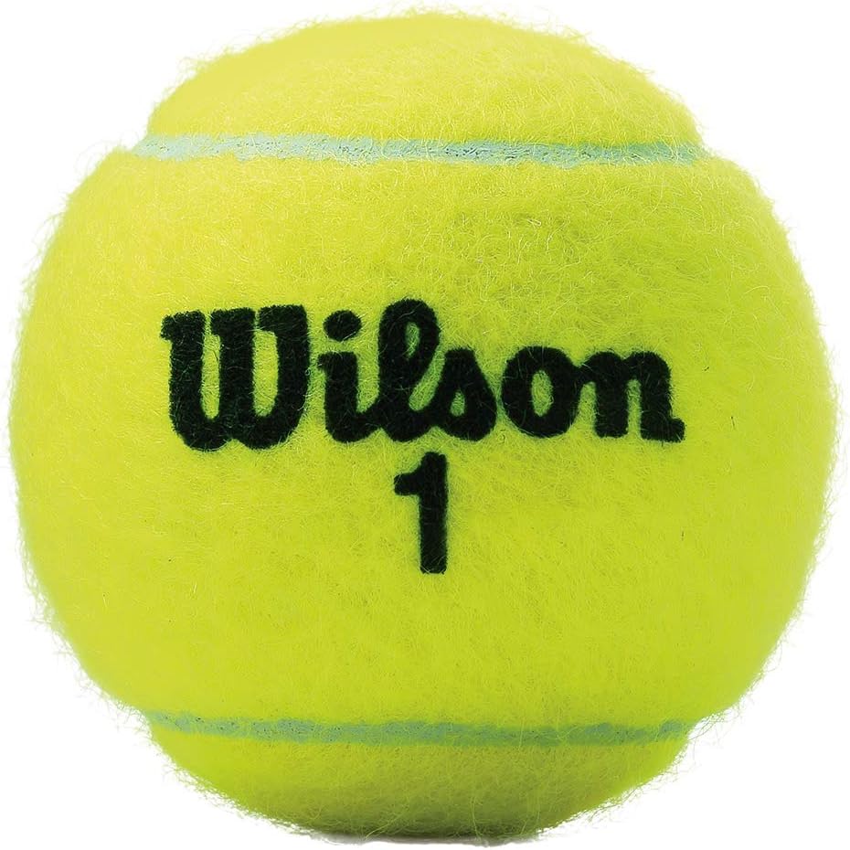 Wilson Championship Tennis Balls - Extra Duty for Hard Courts | 3-Pack Case