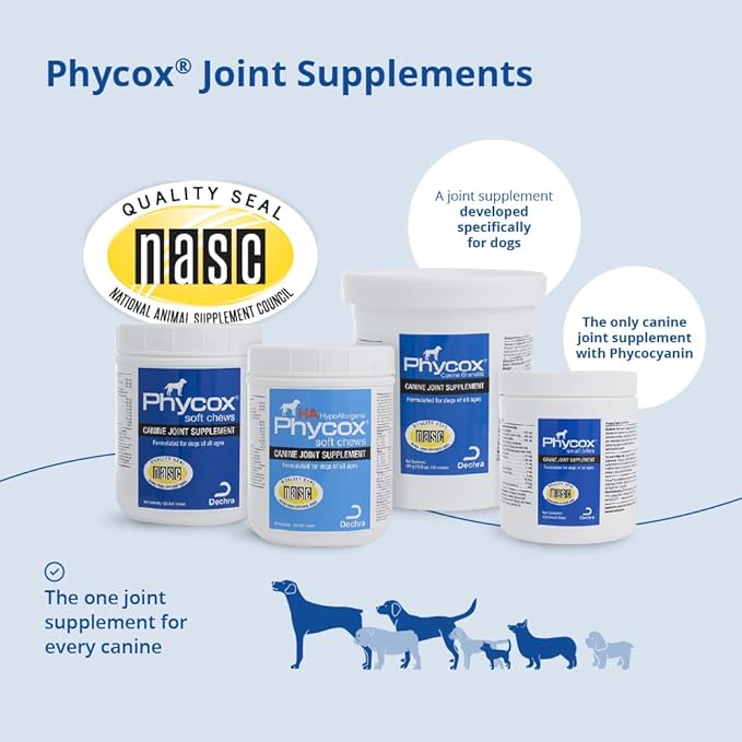 Canine Joint Support, 60 Soft Chews