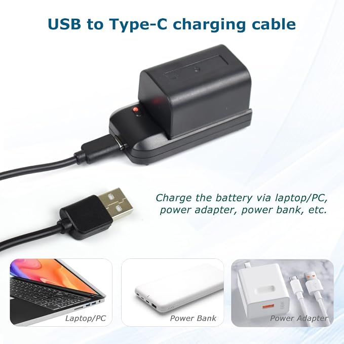 NP-FV5 Battery Charger with Charging Plug and USB Cable