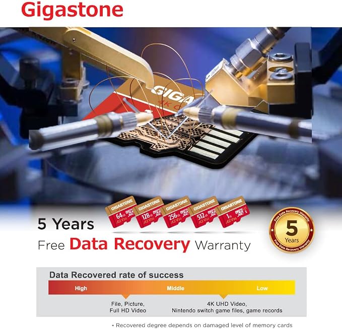 【for Switch 1 Only】 GIGASTONE 256GB Micro SD Card 2-Pack, 4K Game Pro, A2 V30