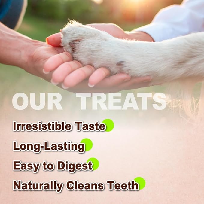 A Freschi srl Turkey Tendons for Dogs, USA-Sourced, Healthy Dog Treats, Rawhide-Free Puppy Chews, Long Lasting, All Natural, Hypoallergenic Dog Treats for Large Breeds, 1 Count Pack Pretzel (L)