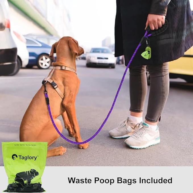 Taglory Rope Dog Leash 4 FT with Comfortable Padded Handle, Highly Reflective Threads Leash and Anti-Tangle Clip for Walking Small Dogs, 3/8 inch, Purple