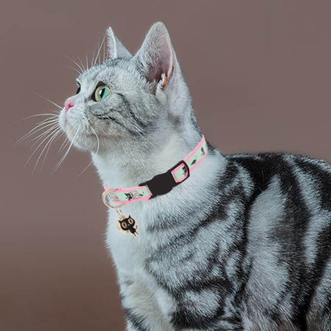 2 Pack Glow in The Dark Cat Collar with Bell Breakaway Safety Cat Puppy Collars with Pendant Light Blue and Pink