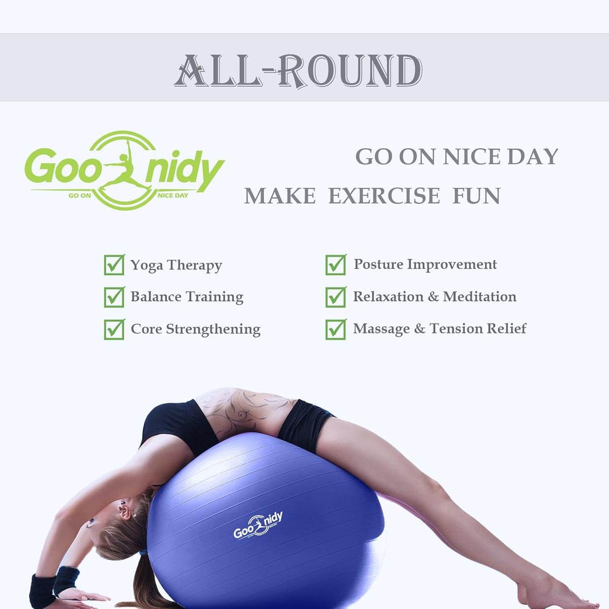 Skiennix Anti-Burst Exercise Ball - 2200lb Support for Pilates, Yoga & Physical Therapy | Includes Pump