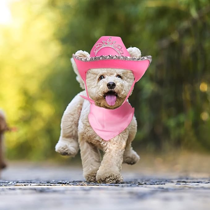 Yewong Pet Pink Cowboy Hat Costume Accessory Set Dog Cat Size Pink Cowgirl Princess Hat with Crown Tiara Bandana/Scarf for Cat Puppy Western Costume Daily Wearing Photo Props (Set C)