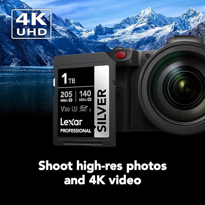Lexar 1TB Professional Silver SD Card,