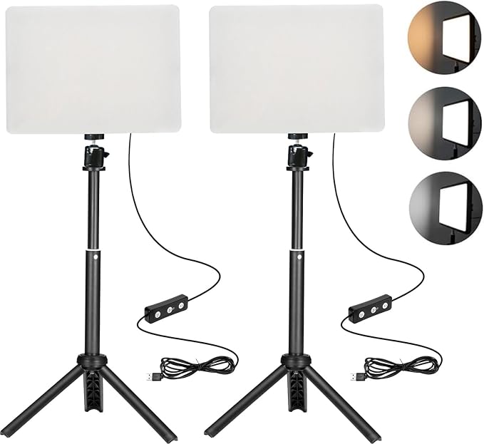 2 Pack LED Photo Lighting kit