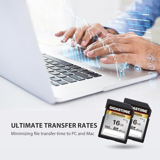 【5-Years Data Recovery】 GIGASTONE 16GB SD Card 2-Pack, Camera Pro, UHS-I A1 V10