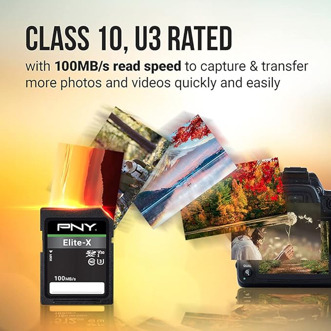 PNY 256GB Elite-X Class 10 U3 V30 SDXC Flash Memory Card