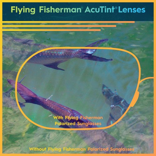 Flying Fisherman Buchanan Polarized Sunglasses for Men, Women, Fishing, Boating, Outdoor Sports, 100% UV Protection