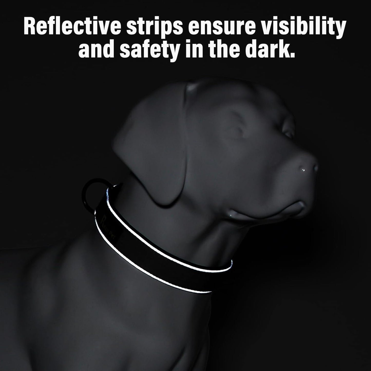 Plutus Pet Tactical Dog Collar, Reflective, Adjustable Heavy Duty Dog Collar, Soft Padded and Comfortable, for Small Medium and Large Dogs (Gray, M)