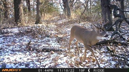 Muddy Mitigator Cellular 24MP Imaging Trail Camera with 80 Feet Detection and Flash Range and 0.7-Second Trigger Speed