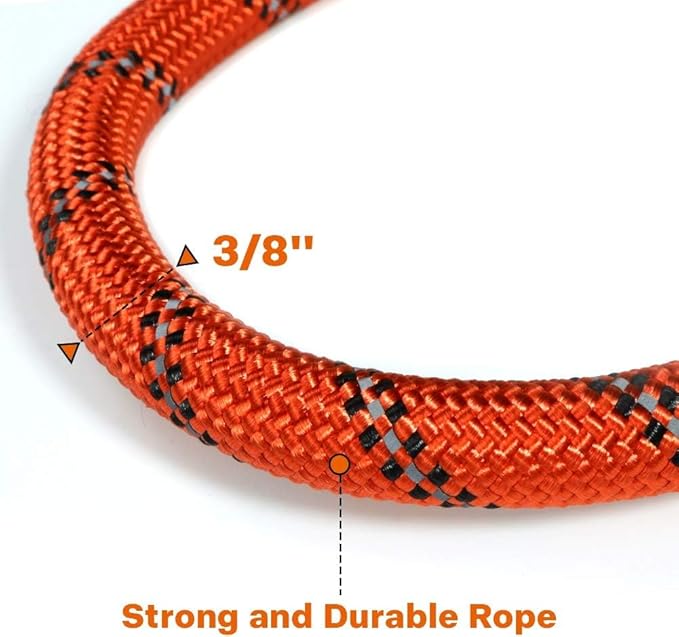 Taglory Rope Dog Leash 4 FT with Comfortable Padded Handle, Highly Reflective Threads Leash and Anti-Tangle Clip for Walking Small Dogs, 3/8 inch, Orange