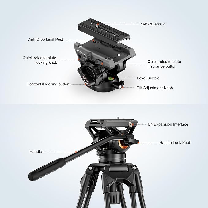 COMAN 74.4" Video Tripod, Heavy Duty Camera Tripod