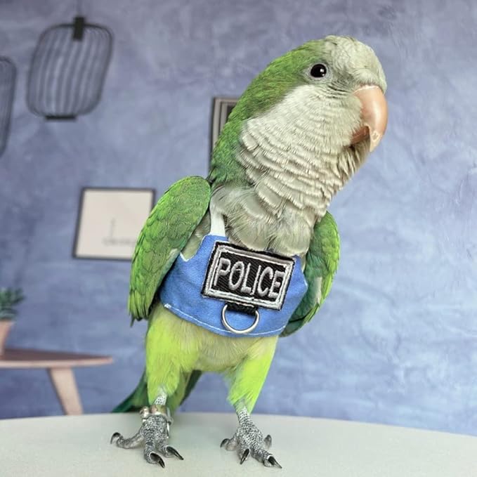 Bird Flight Harness Vest, Parrot Flight Suit with Leash, Bird Flying Clothes with Rope and Handle for Outdoor Activities (with Leash,Green-cheeked Conure)