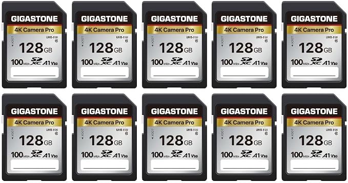 【5-Years Data Recovery】 GIGASTONE 128GB SD Card 10-Pack, 4K Camera Pro