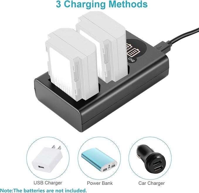 Neewer Dual USB Charger for Sony NP-FZ100 Battery, Compatible