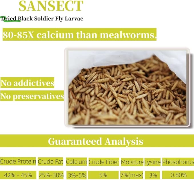 Dried Black Soldier Fly Larvae 10LB, High Calcium Chicken Feed – 85X More Calcium, Non-GMO Treats for Chickens, Laying Hens, Ducks, Turkeys, Wild Birds, Turtles