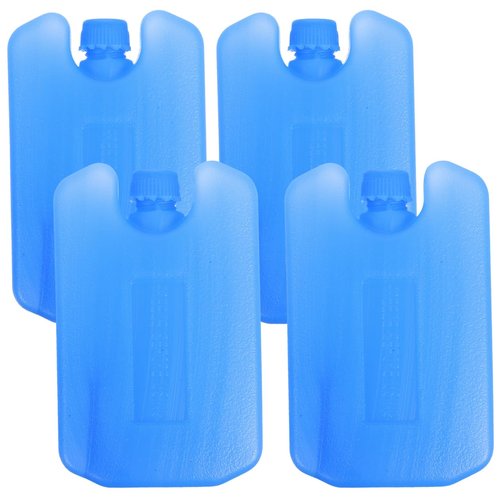BESPORTBLE Ice Packs for Coolers: 4Pcs Reusable Ice Packs - Blocks for Cans, Lunch Boxes, Coolers, Camping, Picnics, Beach, Fishing (3 * 0.78 * 4.68in)