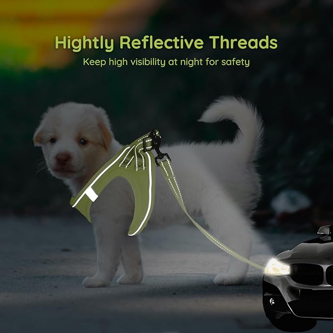 BELLA & PAL Step in Vest Harness for Small and Medium Dogs, No Pull Small Dog Harness with Leash Set, Comfortable Air Mesh Dog Vest Harness with Reflective Strip (Avocado Green, XXS)