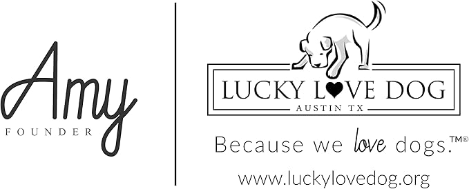 Lucky Love Dog - Adjustable Dog Collar with Easy Click Buckle for Small Dogs, Durable, & Comfortable for Male & Female Dogs, Pet Collar for Puppies & Adult Ones - Carriebelle, Small
