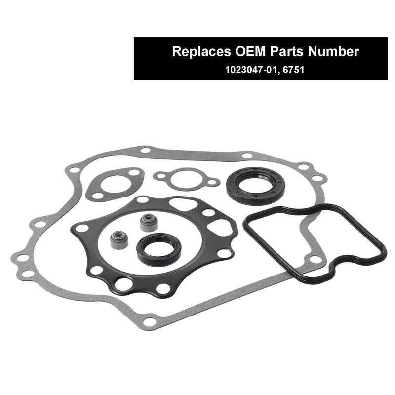 Roykaw Golf Cart Gaskets and Seals Rebuild Kit Compatible with Club Car DS/Precedent 1992-up FE290 Engine Gas Models, OEM# 1023047-01, 6751