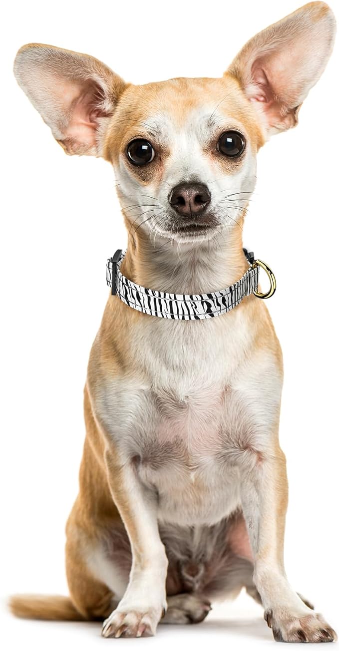 Reflective Dog Collar for Extra Small Dogs Cats, Cute Boho Adjustable Heavy-Duty Nylon Puppy Collar for Boy and Girl Female, Soft Pet Accessories with Quick Release Buckle, Stylish Zebra Print