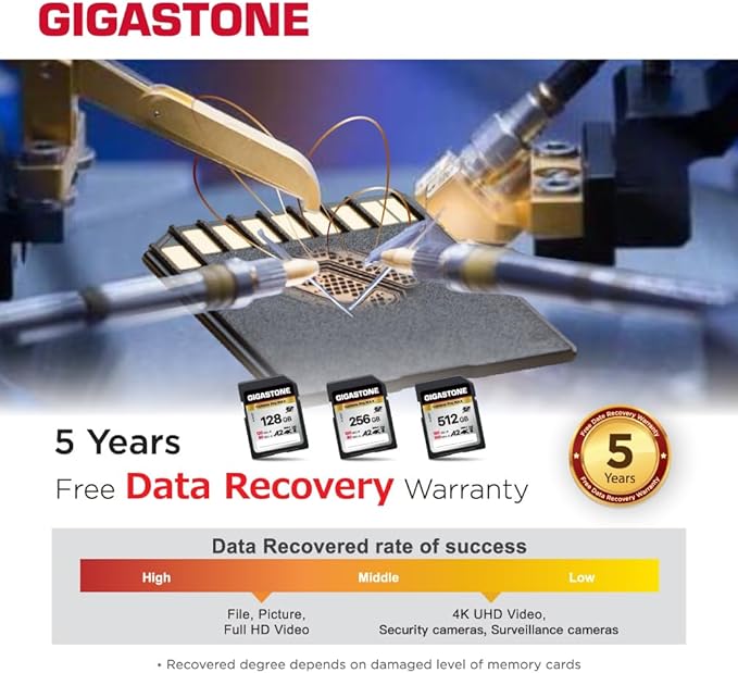 【5-Years Data Recovery】 GIGASTONE 128GB SD Card 2-Pack, 4K Camera Pro MAX