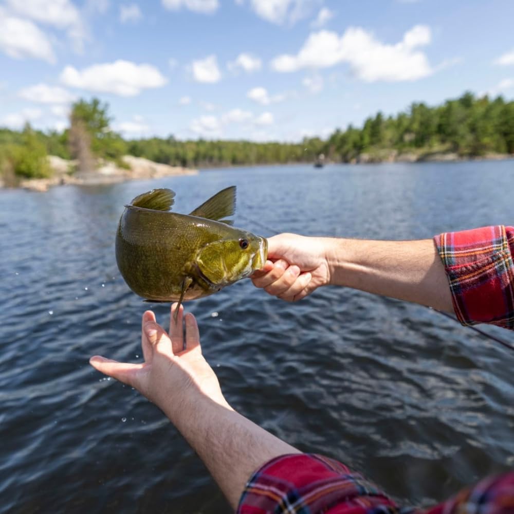 RIO PRODUCTS Bass Leader - Freshwater Tapered Leader for Fly Fishing | Ideal for Bass Anglers
