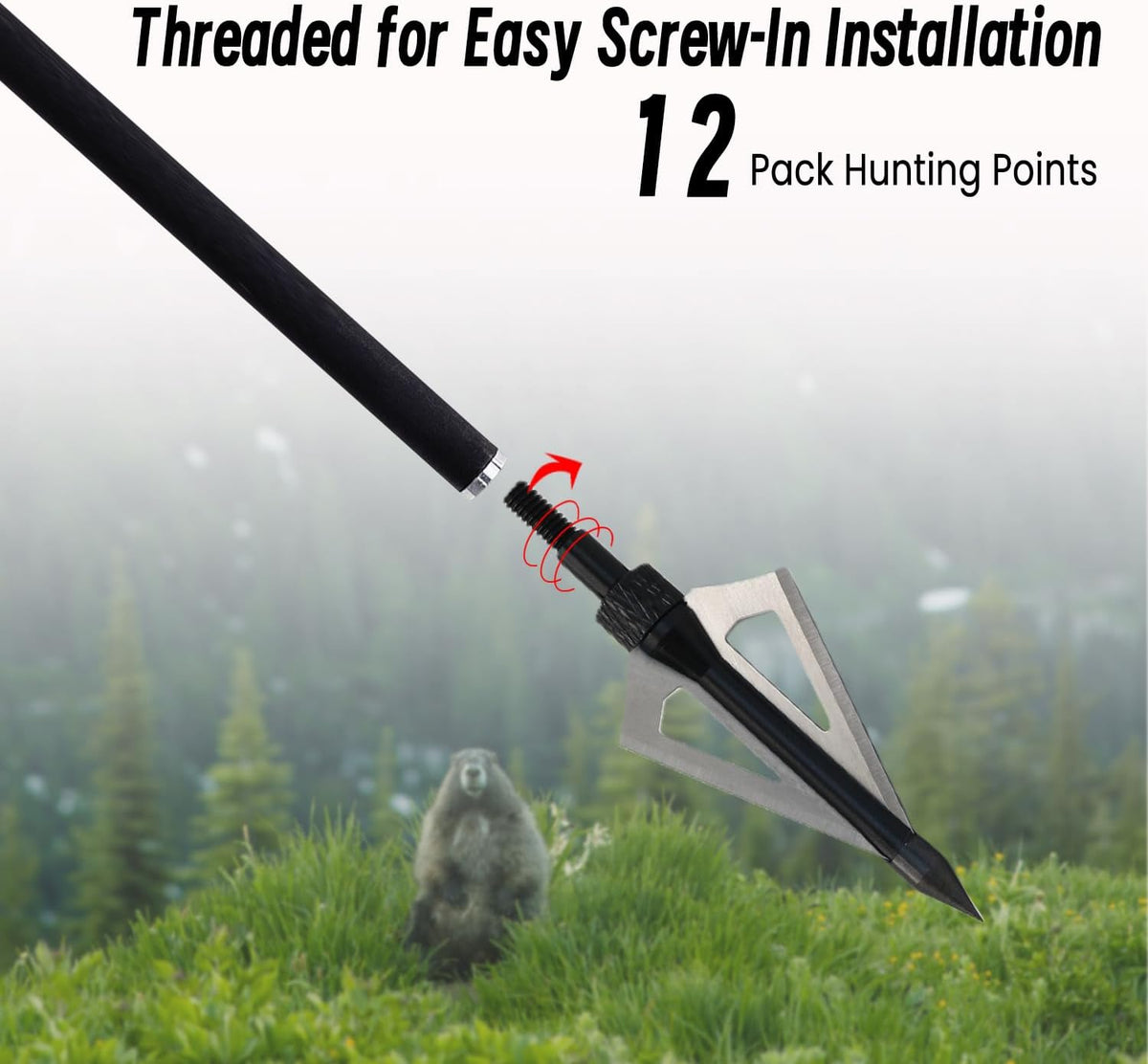 Skiennix 12Pcs Hunting Broadheads - Durable 3 Fixed Blades with Portable Case for Crossbow & Compound Bow
