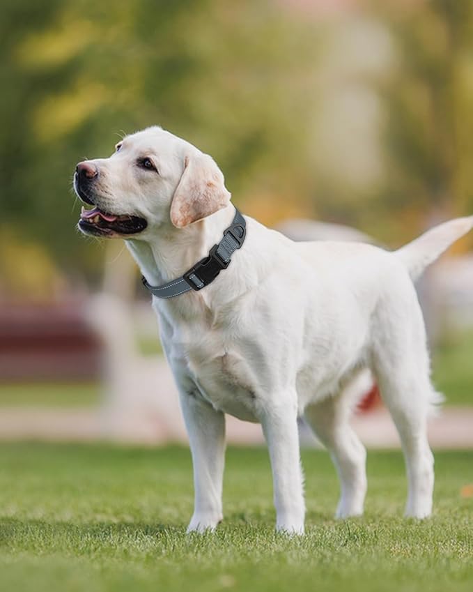 Joytale Large Dog Collar, Reflective and Adjustable Nylon Pet Collar with Quick-Release Buckle for Extra Large Dogs, Gray, XL