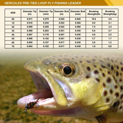 HERCULES Pre-Tied Loop Fly Fishing Leaders - 6 Pack with Tapered Leader Wallet for Easy Storage