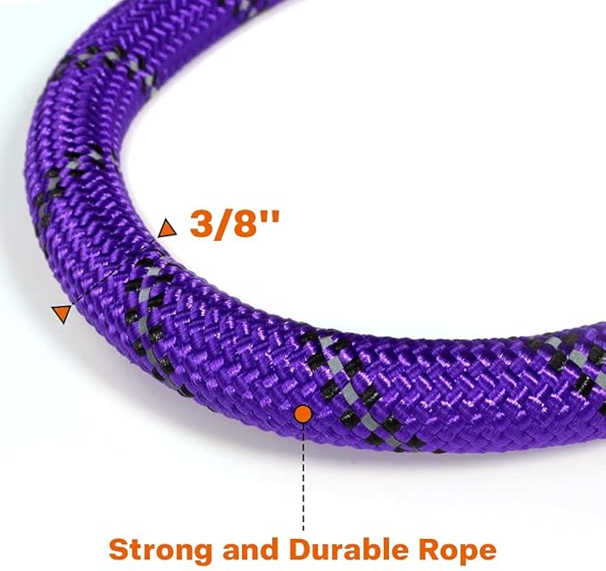 Taglory Rope Dog Leash 6 FT with Comfortable Padded Handle, Highly Reflective Threads Leash and Anti-Tangle Clip for Walking Small Dogs, 3/8 inch, Purple