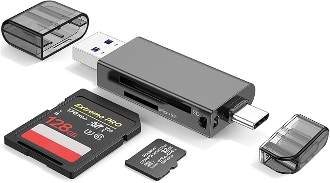 Dual Slot SD Card Reader