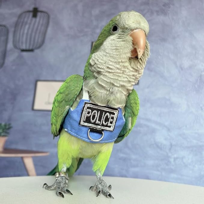 Bird Flight Harness Vest, Parrot Flight Suit with Leash, Bird Flying Clothes with Rope and Handle for Outdoor Activities (Without Leash,Common Hill Myna)