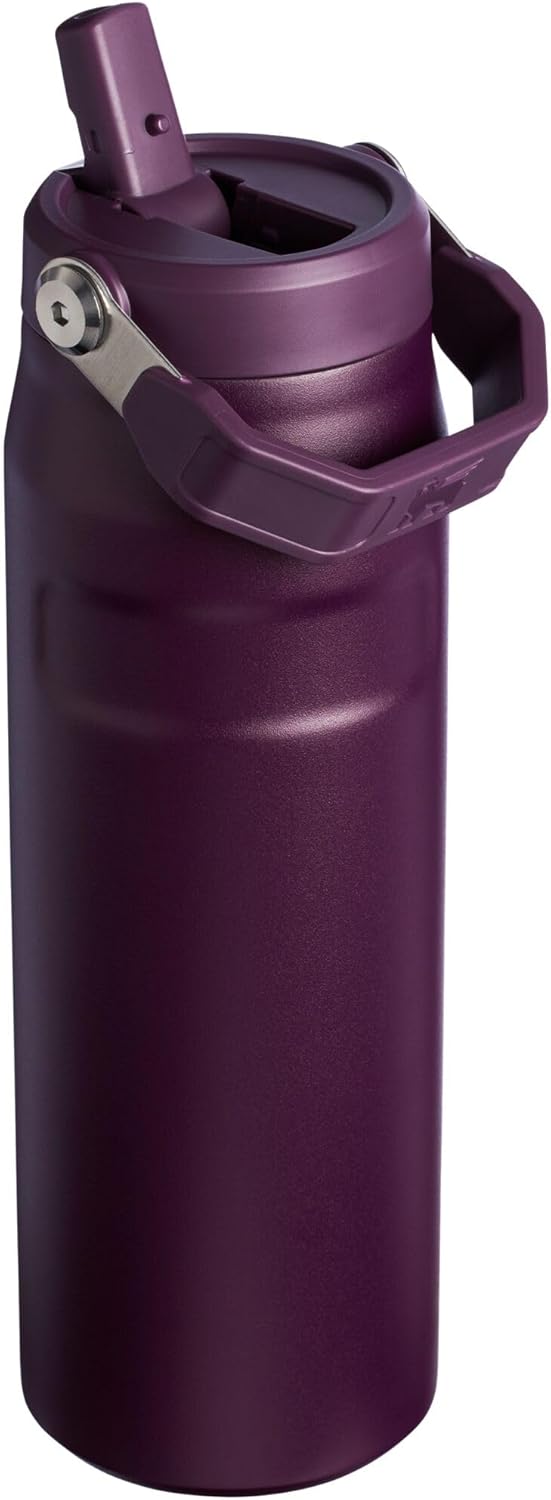 Stanley IceFlow 2.0 Water Bottle - 24 OZ Insulated Stainless Steel | Lightweight, Leak-Resistant & BPA-Free | Plum