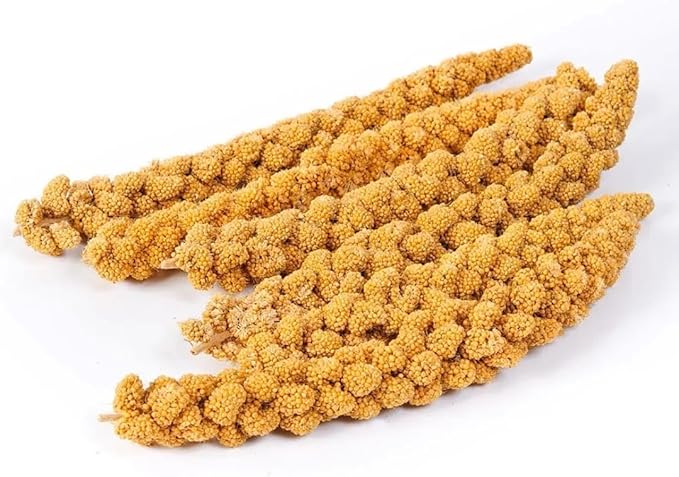 5LBS GMO-Free Sun Dried Spray Millet - Original Bird Treat Millet for Parakeets, Cockatiels, Finches & More - Non-GMO, High in Amino Acids, Easy Storage, Tasty & Healthy Bird Snacks (5 lbs)