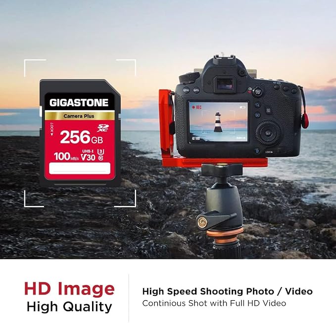 GIGASTONE 256GB SD Card 2-Pack, Camera Plus, UHS-I V30 SDXC Memory Card High