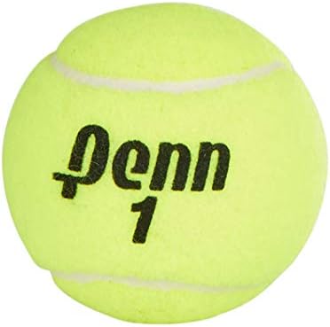 Penn Championship Tennis Balls - Extra Duty Felt, Pressurized | 15 Cans, 45 Balls Total