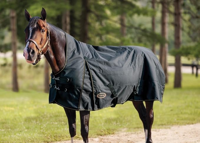 Country Pride Paladin 1200D High Neck Heavyweight Turnout Blanket (60)