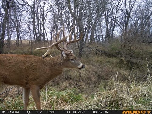 Muddy Manifest Cellular Camera with SD Card - Verizon