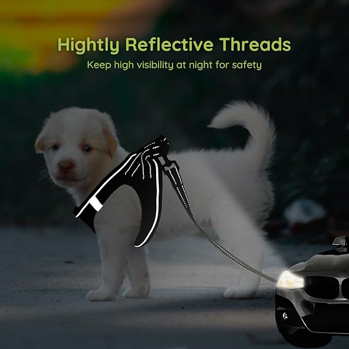 BELLA & PAL Step in Vest Harness for Small and Medium Dogs, No Pull Small Dog Harness with Leash Set, Comfortable Air Mesh Dog Vest Harness with Reflective Strip (Deep Black, S)