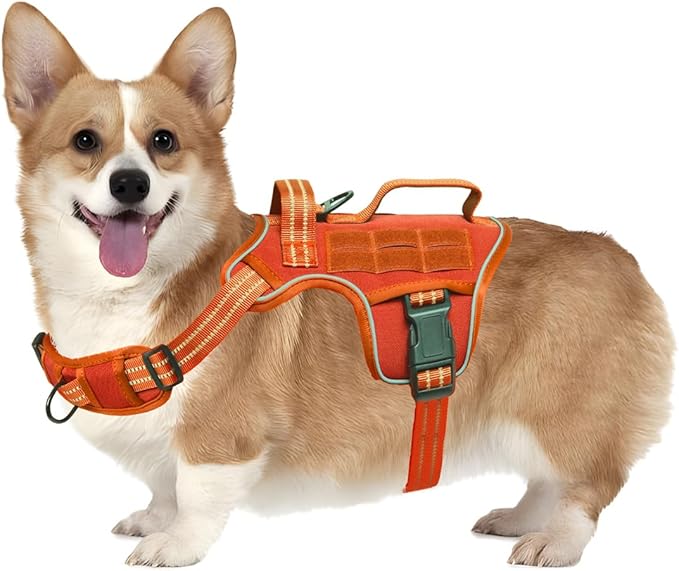 Small Dog Harness, Heavy Duty Tactical No Pull Dog Harness, No Choke, Easy On and Off Pet Vest with Molle System, Adjustable Reflective Dog Vest with Breathable Padded for Walking Hiking Training