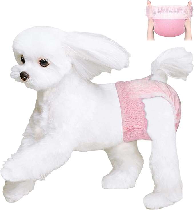 Ambreview Disposable Dog Diapers Female, Just Pull It Up, Doggie Diapers for Female Dogs, Strong Absorbency | Leak Proof, for Dogs in Heat | Elderly | Disabled, L 100 PCS