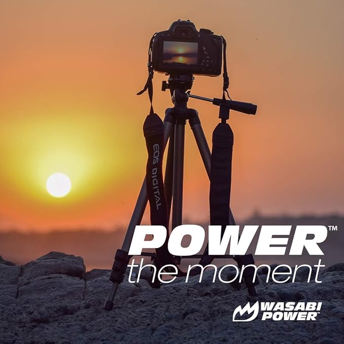 Wasabi Power Battery and Charger