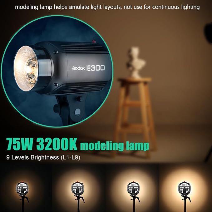 Godox 600W Professional Studio Strobe Lights Kit, 2X 300W 5600K Monolights