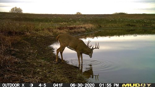 Muddy Manifest Cellular Camera with SD Card - Verizon